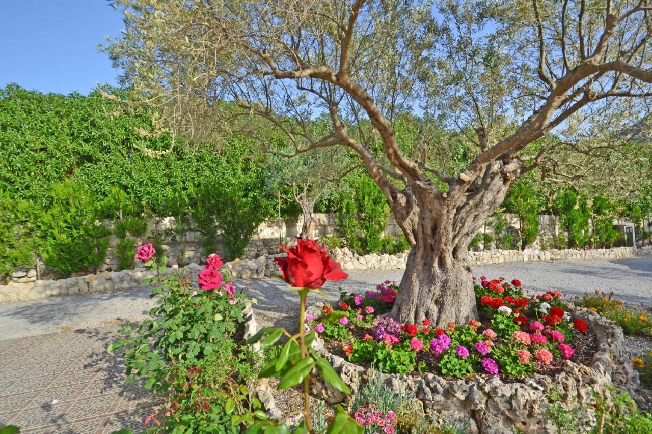 Villa Casa Maria Alcudia (Mallorca)