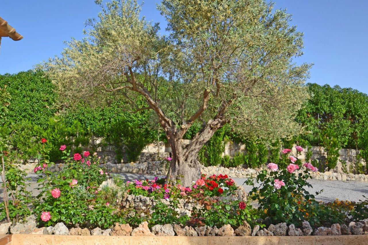Casa Maria